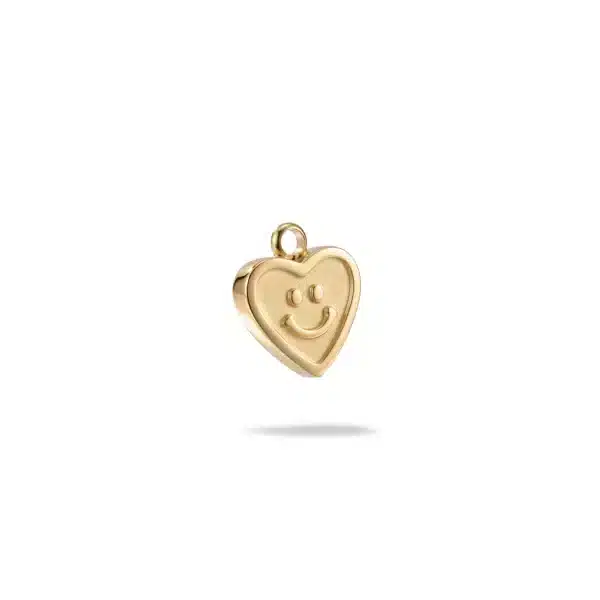 Cœur Smiley — Acier inoxydable